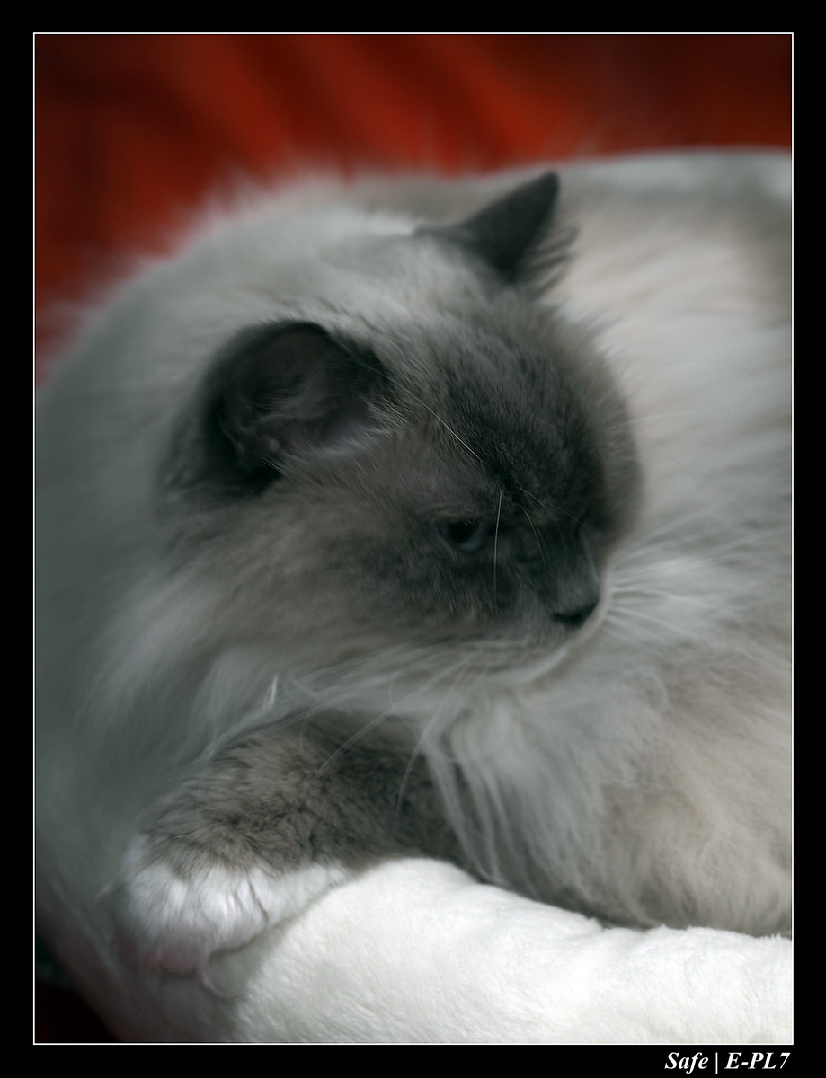 2020 - 02 - Salon agriculture 37